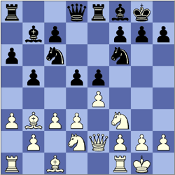 Playing the Najdorf by David Vigorito, Opening chess book by