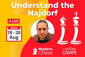 Modern Chess Najdorf