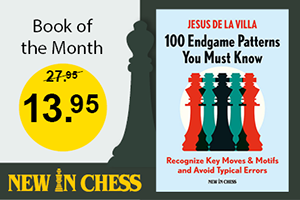 New in Chess Endgame patterns